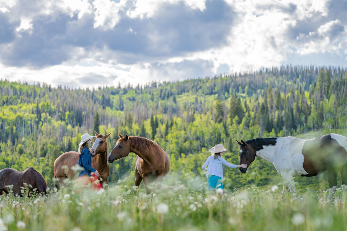 children bonding with horses in green fields at Vista Verde Ranch in Colorado