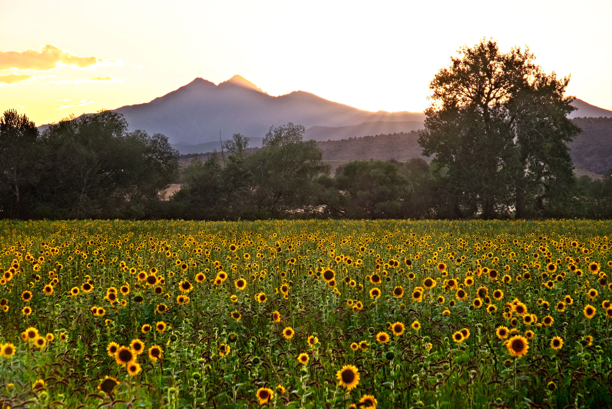 Longmont Vacations, Activities & Things To Do | Colorado.com