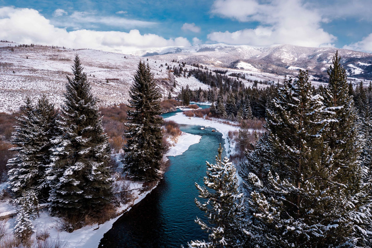 Snow-covered trees alongside rolling hills and a vibrant river through a frozen landscape.