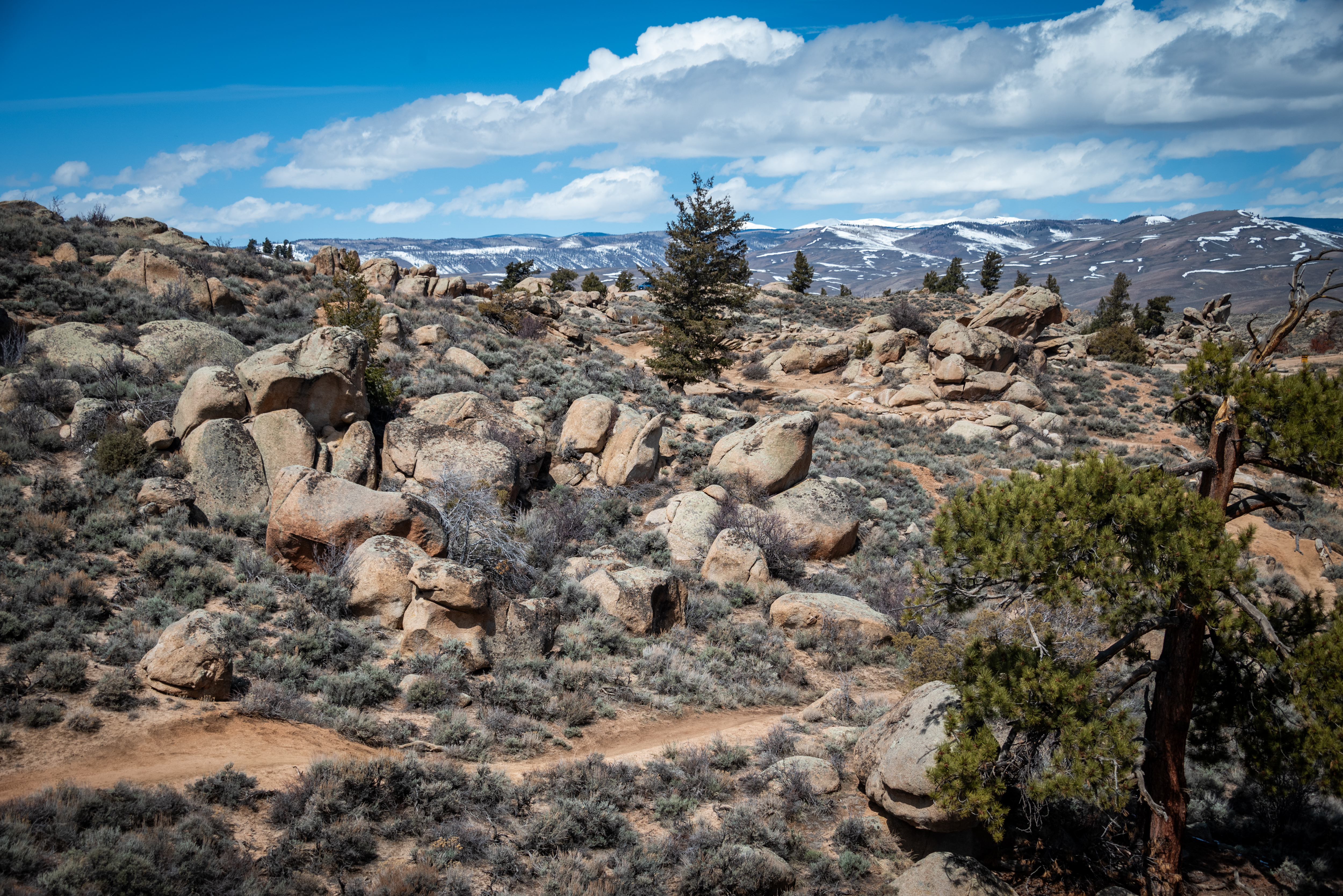 A trail winds through sagebrush and rocky outcroppings at Hartman Rocks in Gunnison Colorado. 