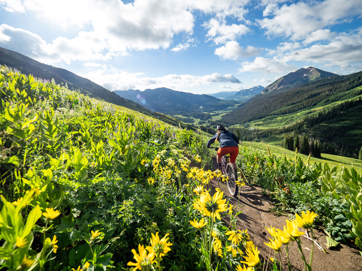 Person mountain biking past yellow wildflowers with open mountain views in Crested Butte, Colorado.