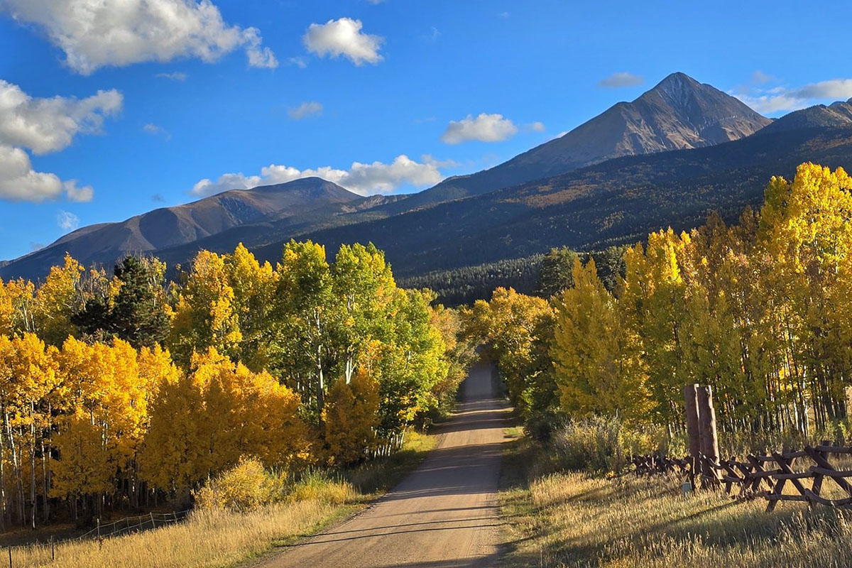 A dirt road leading in direction of mountains, with yellow and golden colored fall trees in Silver Cliff.