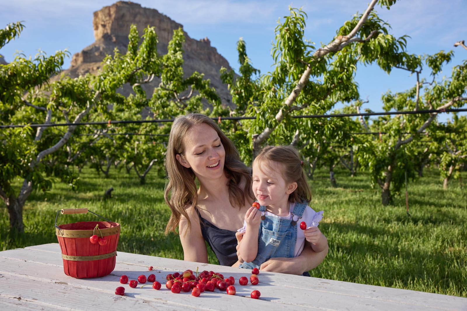 A woman and daughter sit at a Colorado orchard's picnic table eating cherries
