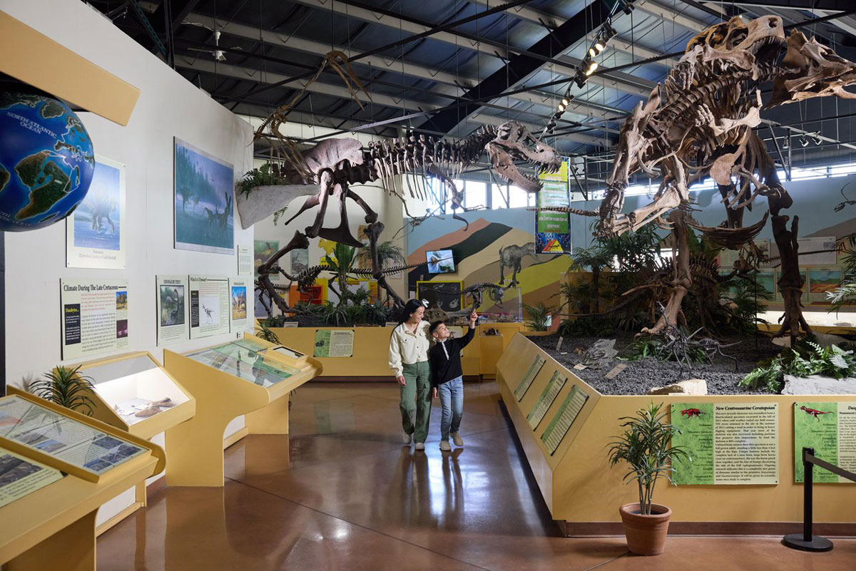 Free & Affordable Family-Friendly Activities in Colorado Springs