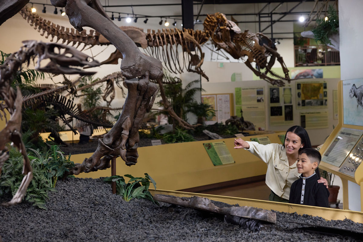 A mother and son look at dinosaur bones at the Rocky Mountain Dinosaur Resource Center