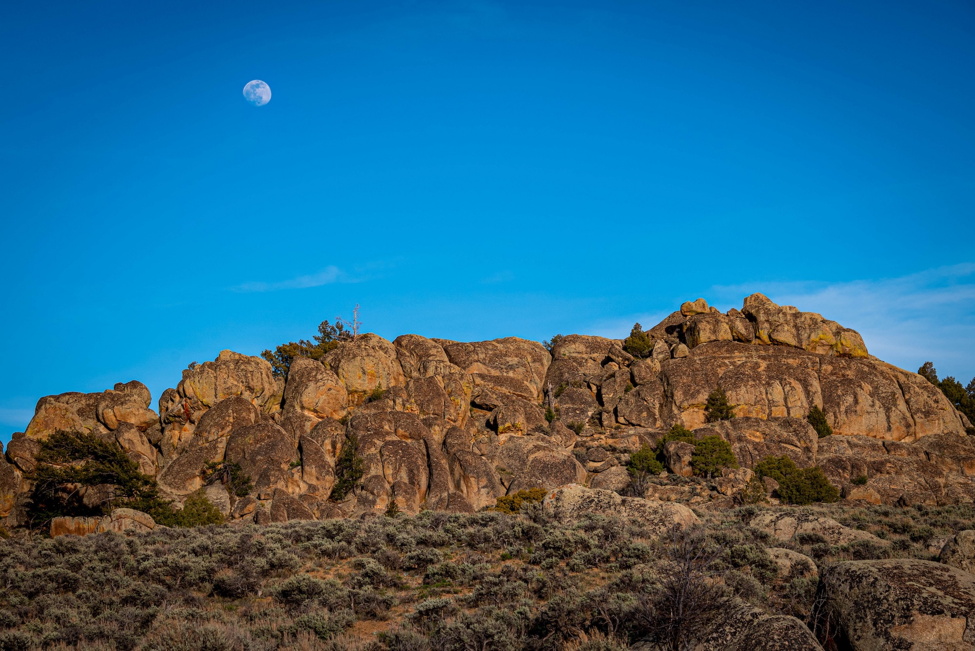 Gunnison Vacations, Activities & Things To Do | Colorado.com
