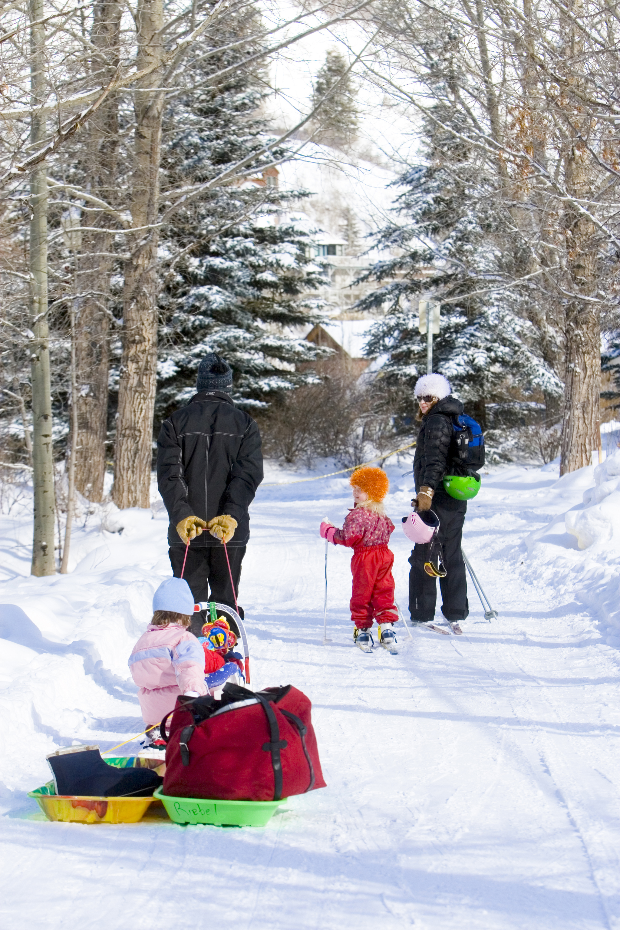 Cross Country Skiing - Dinner Plain