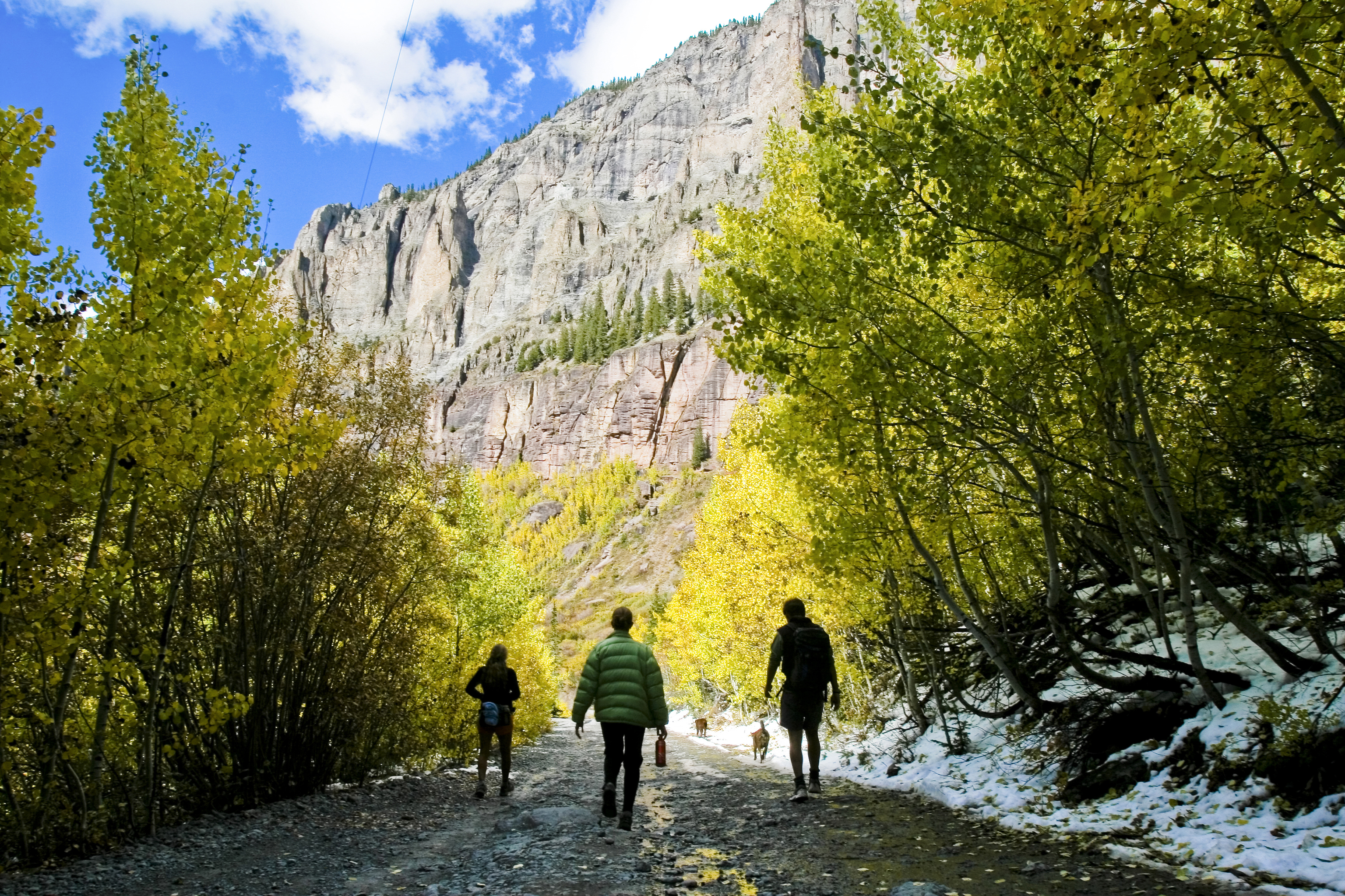 Following a hiking trail through aspen trees near 