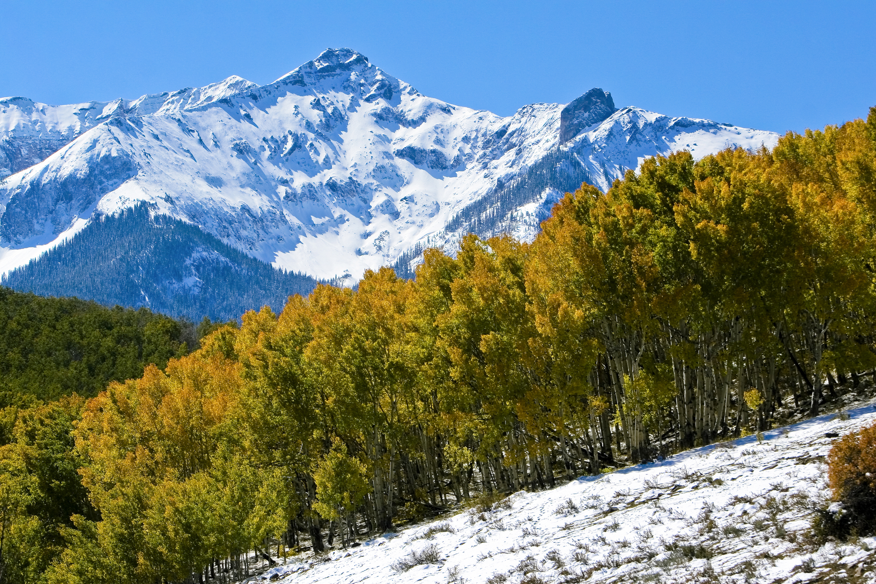 Best Hookup Site For Colorado Best Hookup Site For Colorado