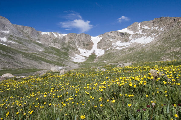 Mount Evans Mount Evans