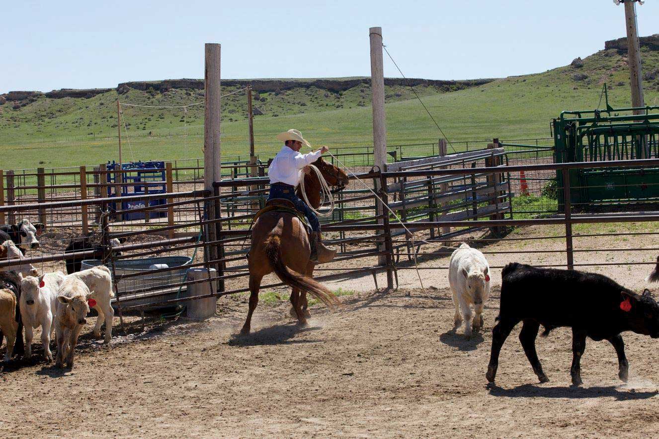 Highlights Of The High Plains Coloradocom Highlights Of The High Plains Coloradocom