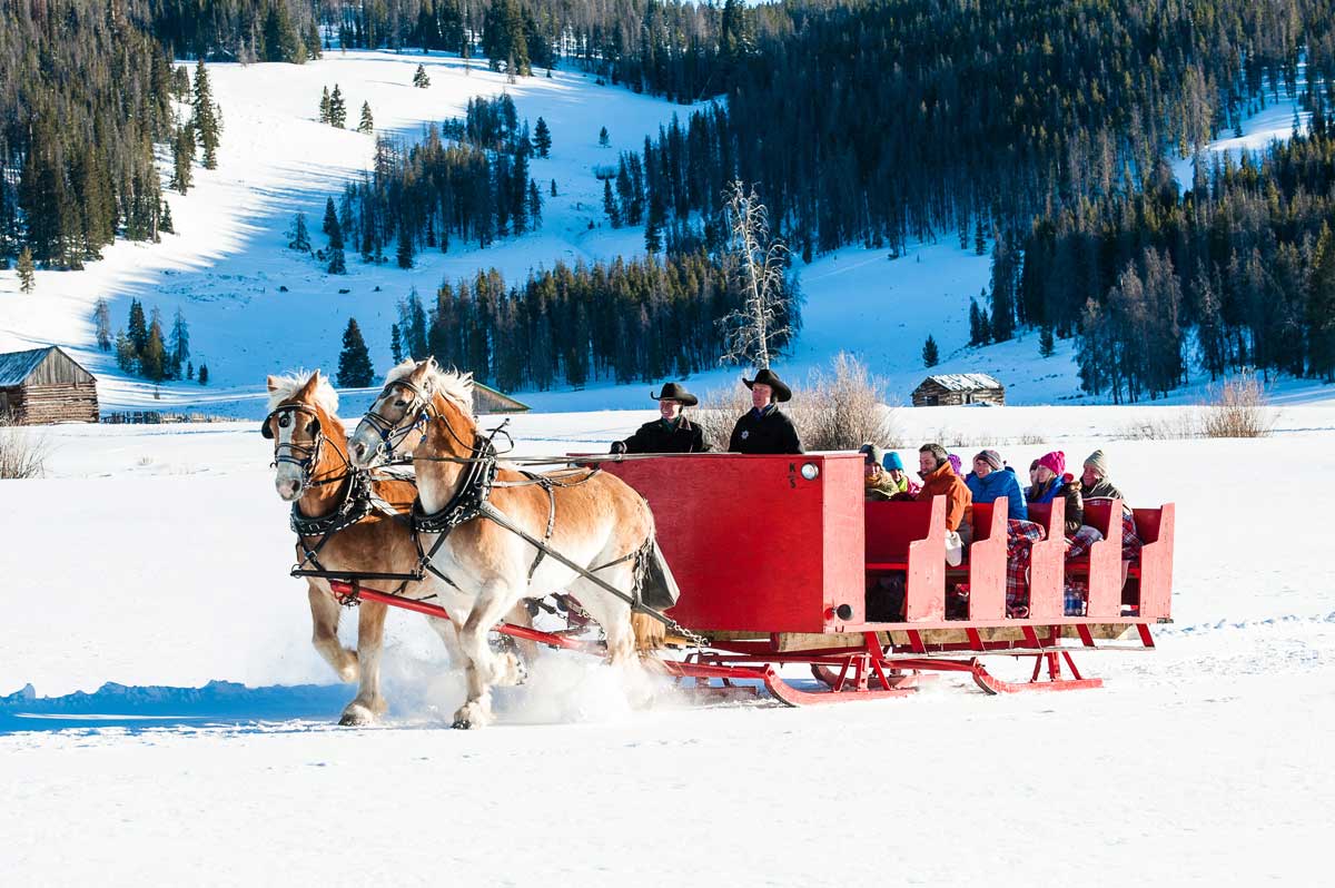 horse drawn carriage rides near me
