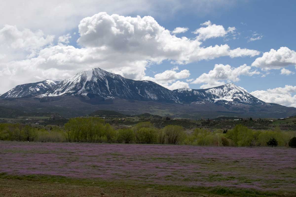 North Fork Valley Tour | Colorado Field Guide