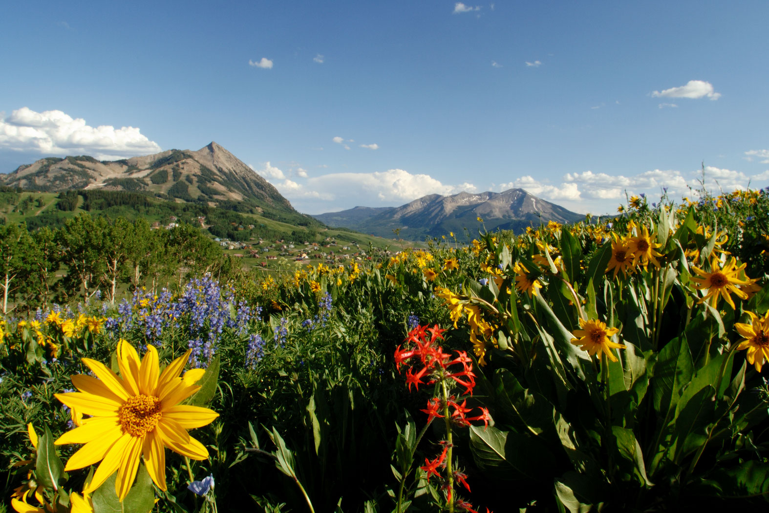 The best crested butte hikes