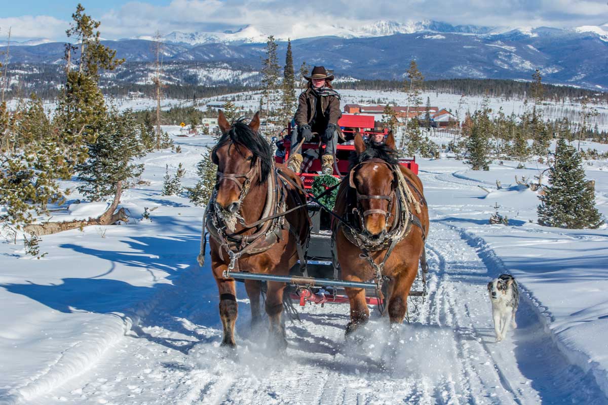 Horse Drawn Sleigh Rides In Colorado Colorado Com