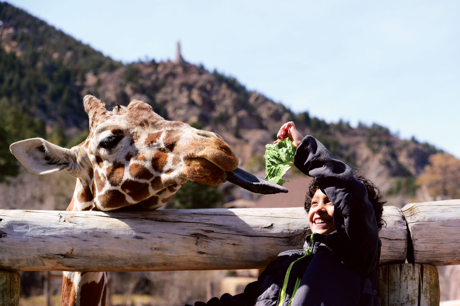 Family Friendly Animal Encounters In Colorado Colorado Com