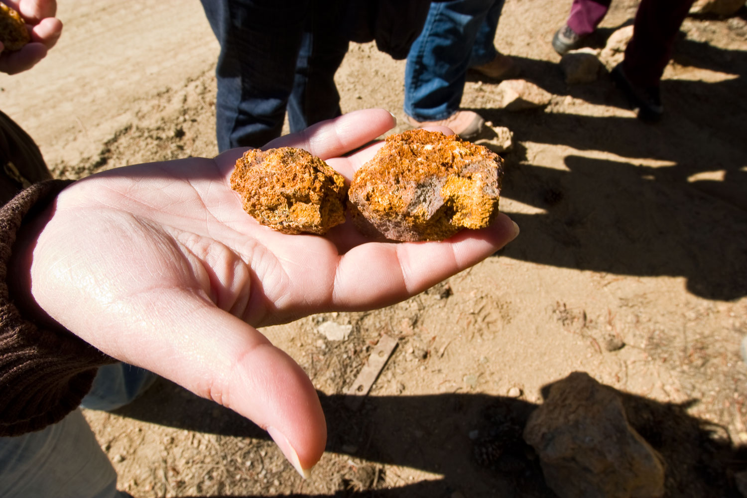 colorado mine tours gold rush towns colorado com