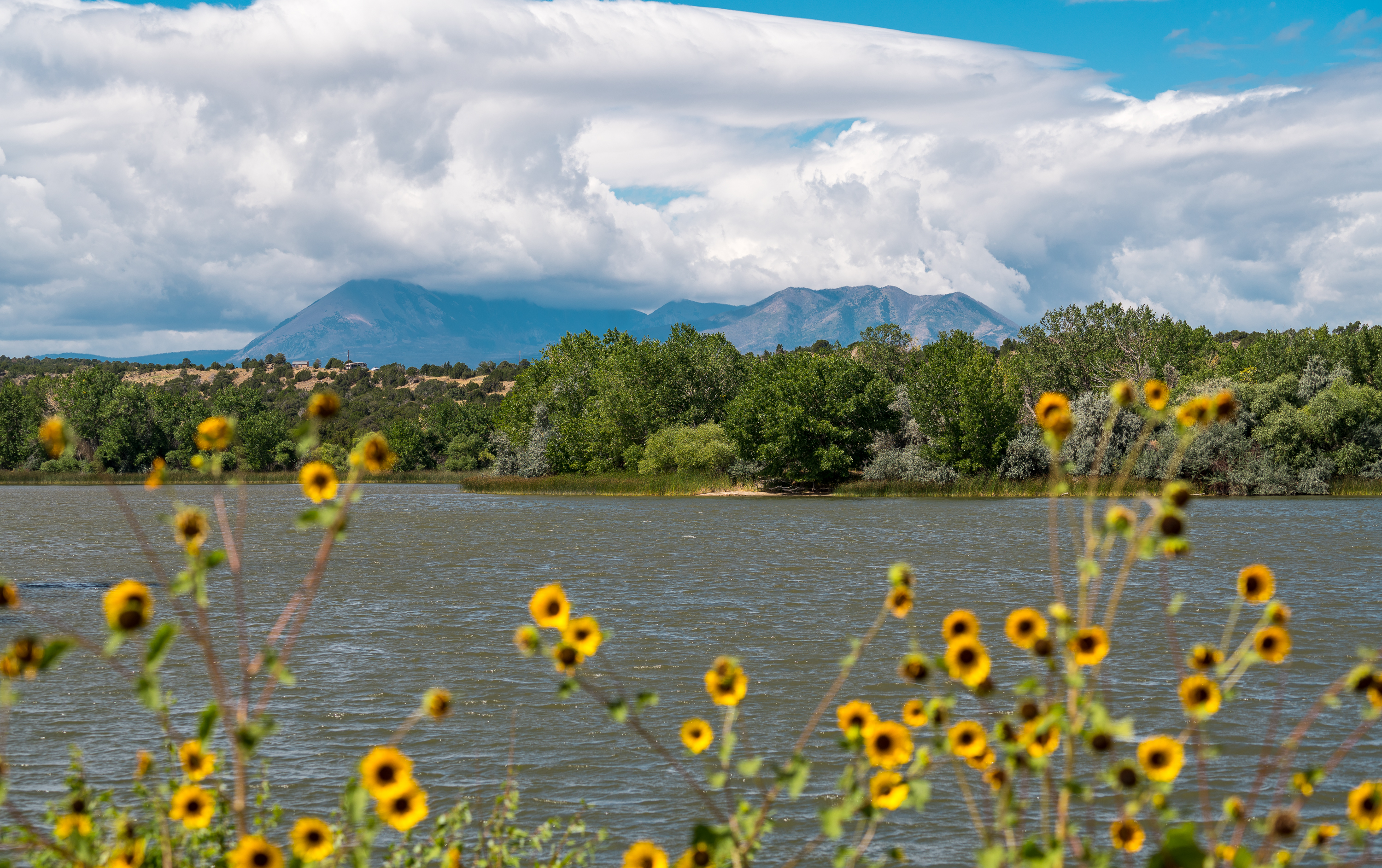 Lake views at Lathrop State Park 