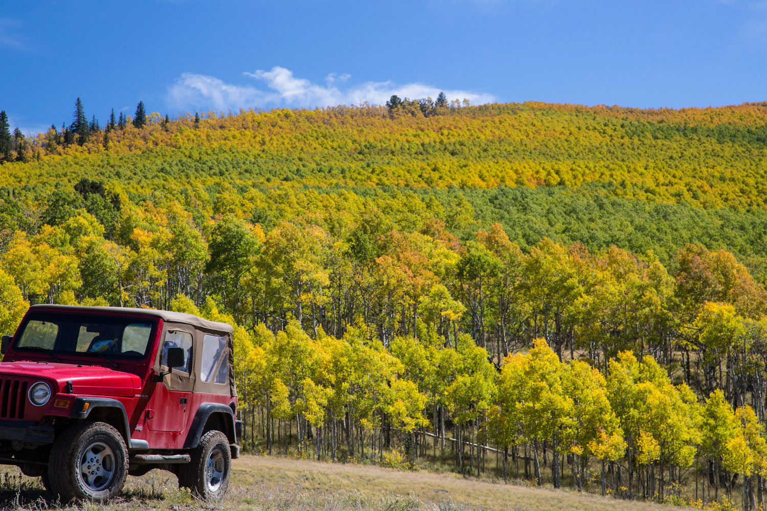 A crimson Jeep with a canvas top is parked in front of a large hill of trees in Browns Canyon National Monument. Fall colors show in the leaves with patches of still-green leaves.