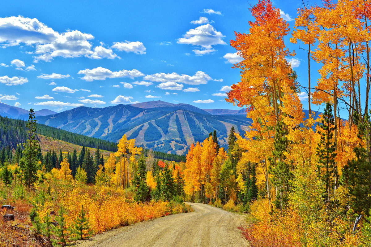 Bright yellow and orange trees line a road with mountains in the background