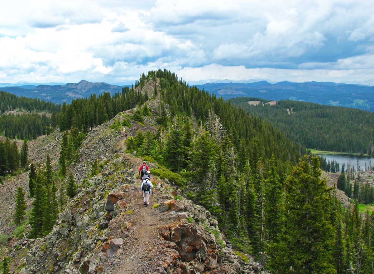A group of hikes walk on a high ridge amid evergreen trees