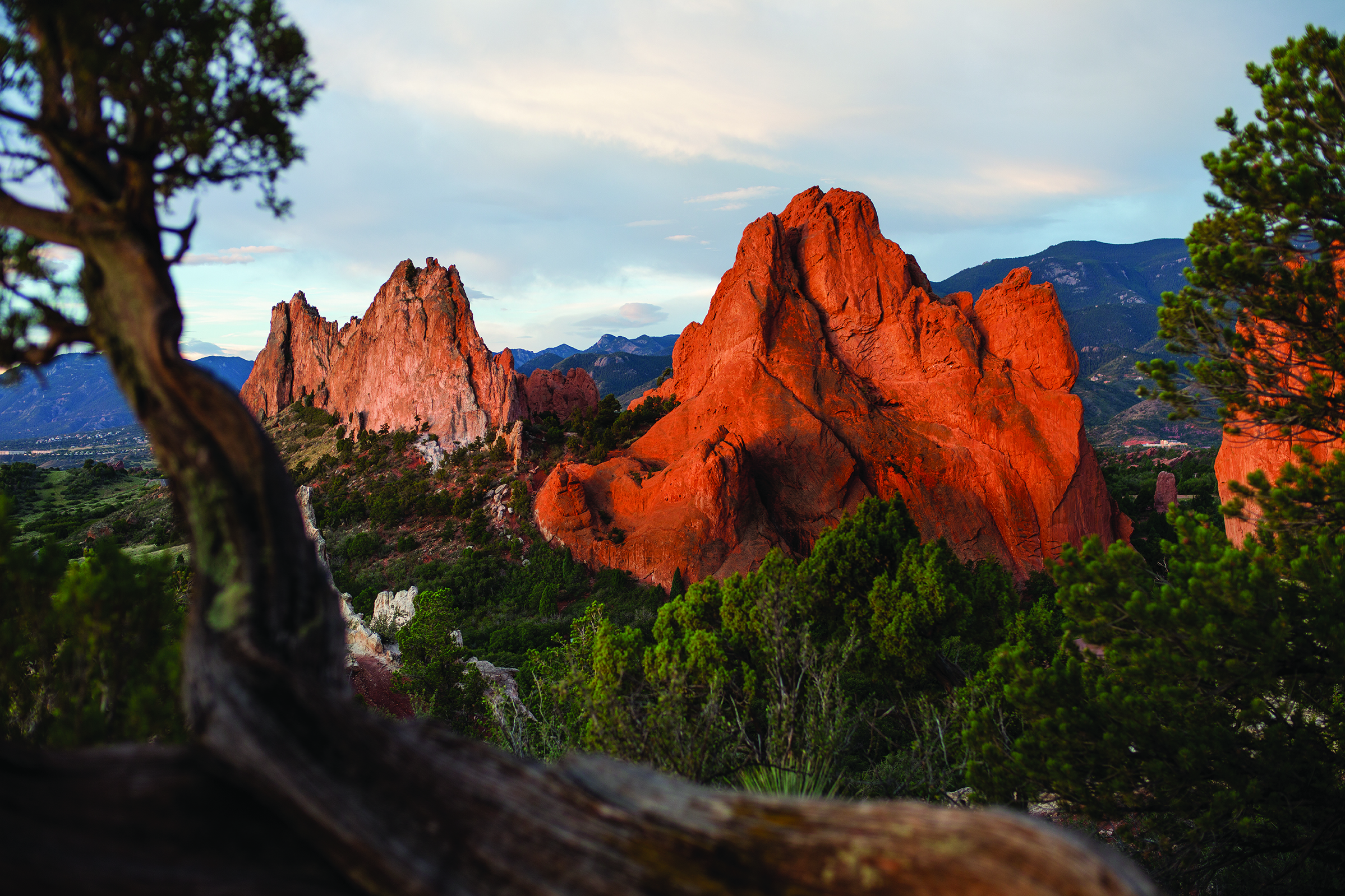 Bright- and deep-rock pillars at the Garden of the Gods in Colorado Springs. The sun setting sun shines upon the formations and they are surrounded by dark-green pine trees.