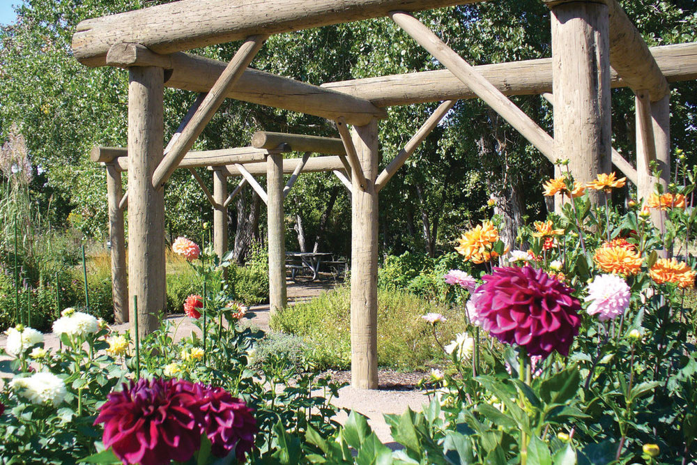 A wooden pergola sits among blooming colorful flowers, green-leafed trees and green grasses.
