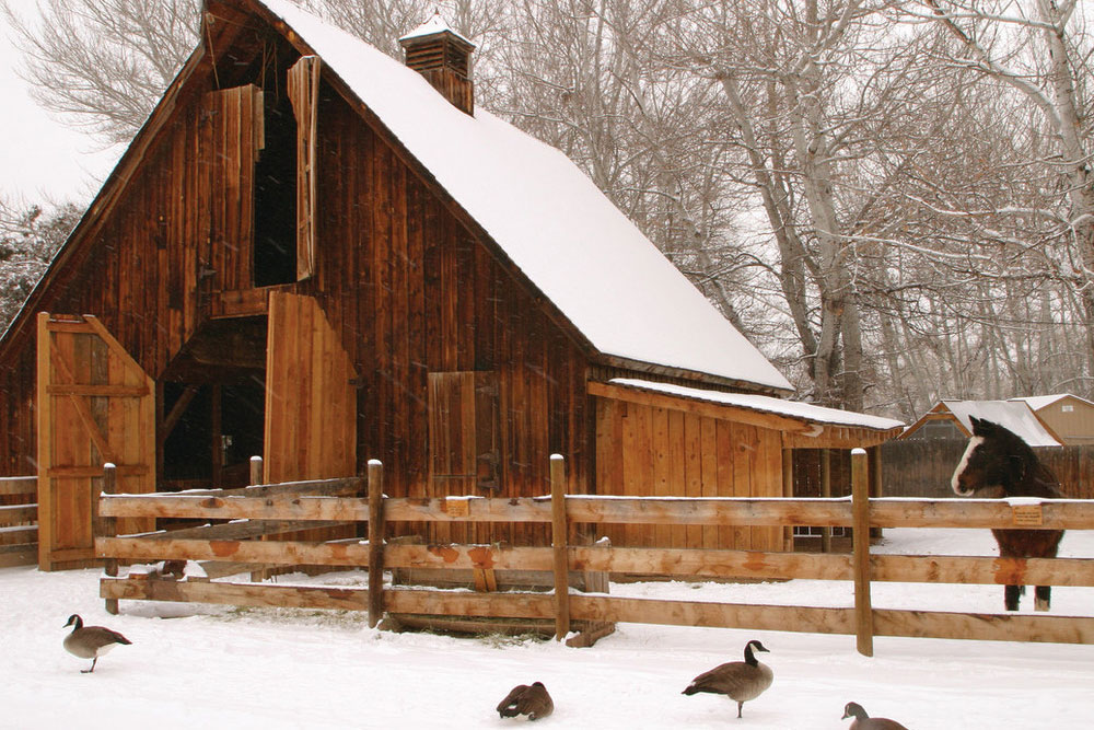 A wooden cabin covered in snow has a horse and three geese outside with a wooden fence. The ground is covered in snow.