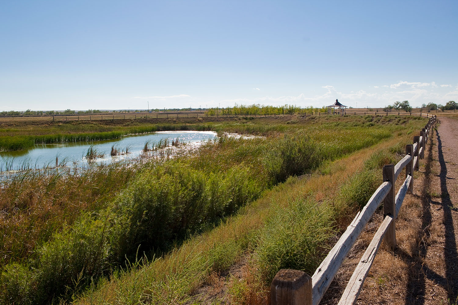 View wildlife at the Limon Wetlands