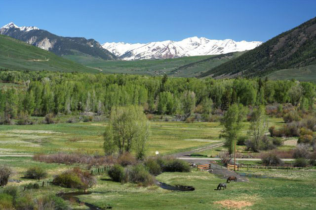 In Almont, a green field with two horses grazing is covered in green trees with a bright-blue sky. The mountains in the far back are covered in snow but it's summer.