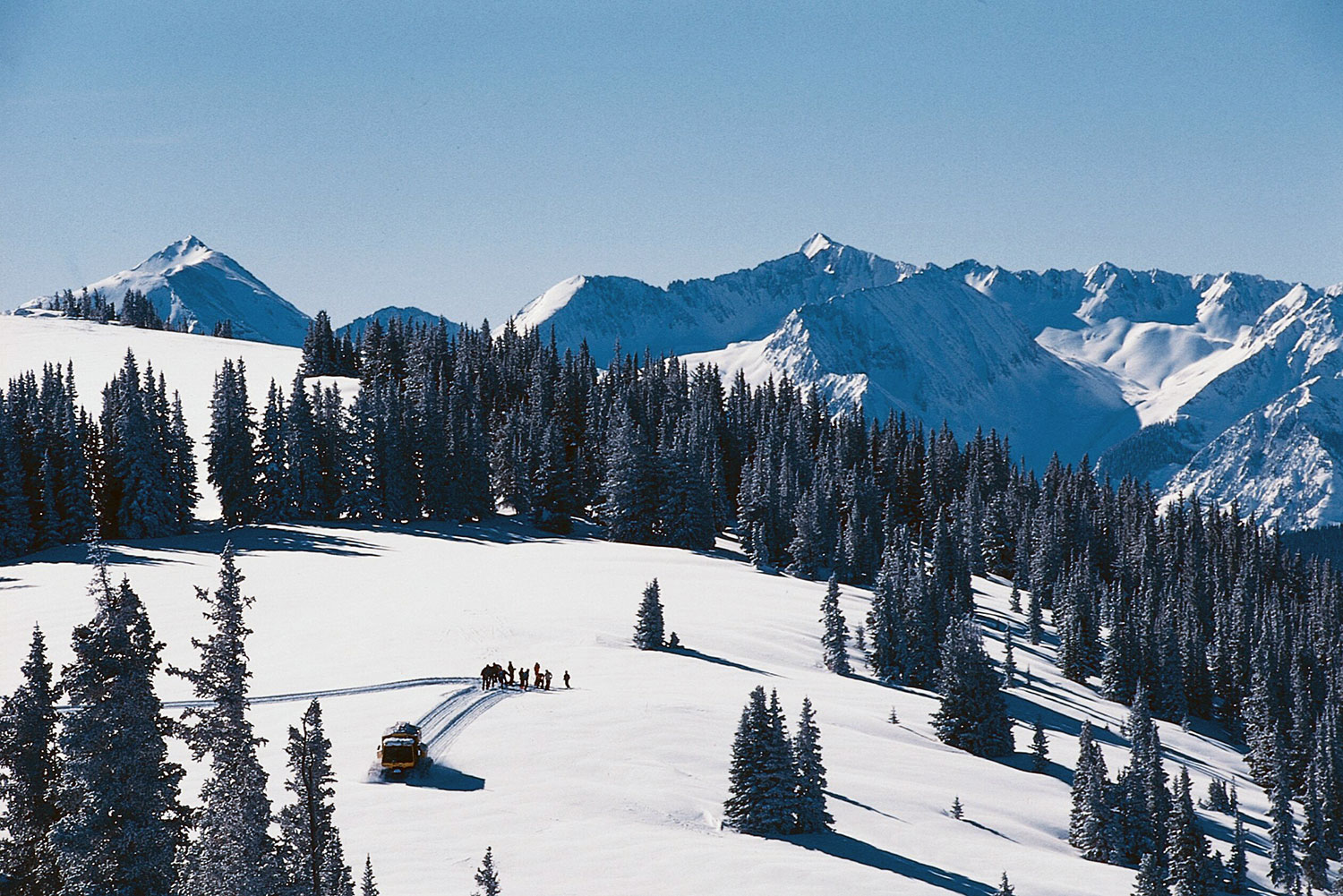 A snowcat drops off a group of powder hounds atop a mountain near Aspen, Colorado. The slope is covered in tall, evergreen trees.