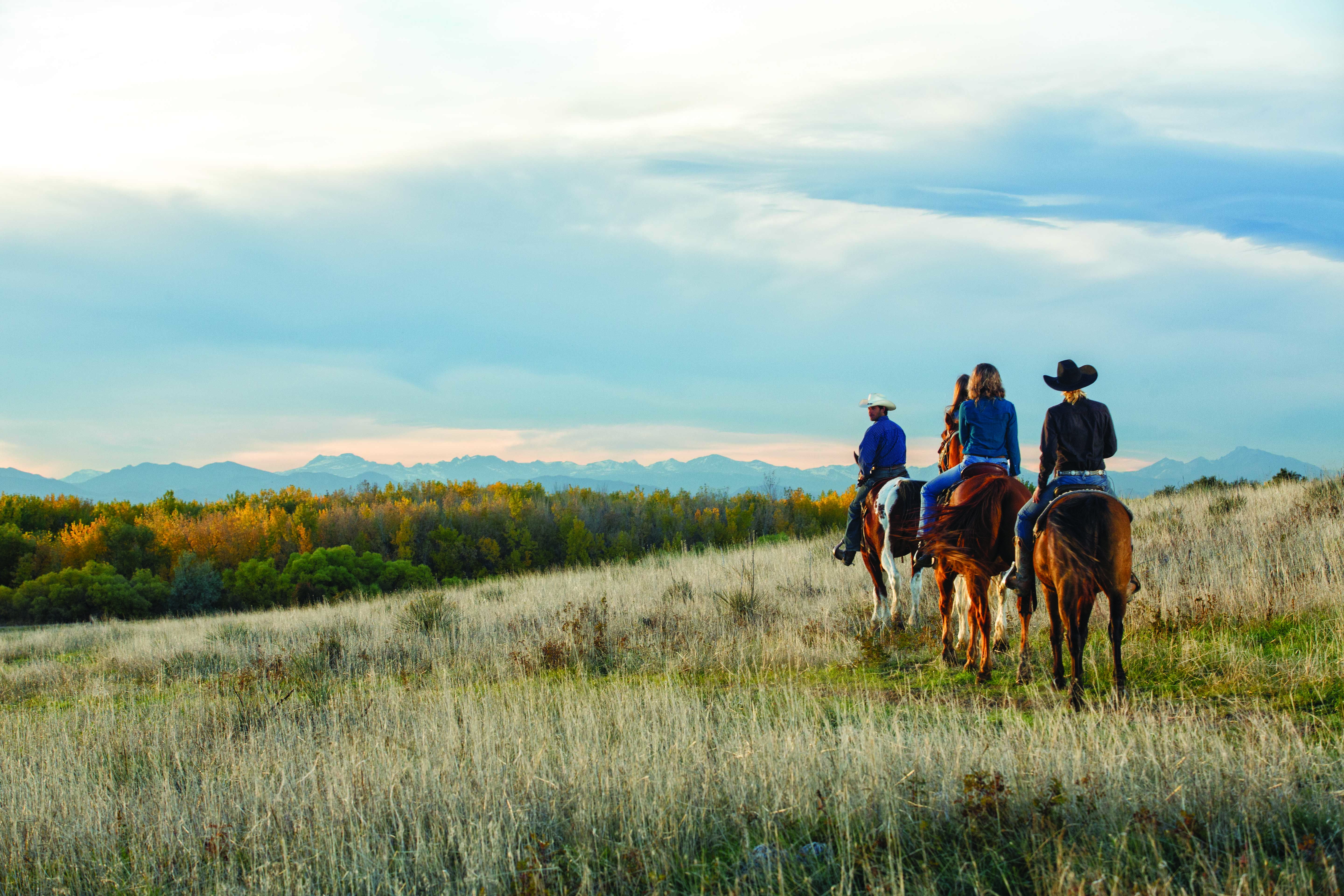 A group of horseback riders travels through a field of high grasses in Aurora, Colorado. Nearby trees show splashes of fall colors.