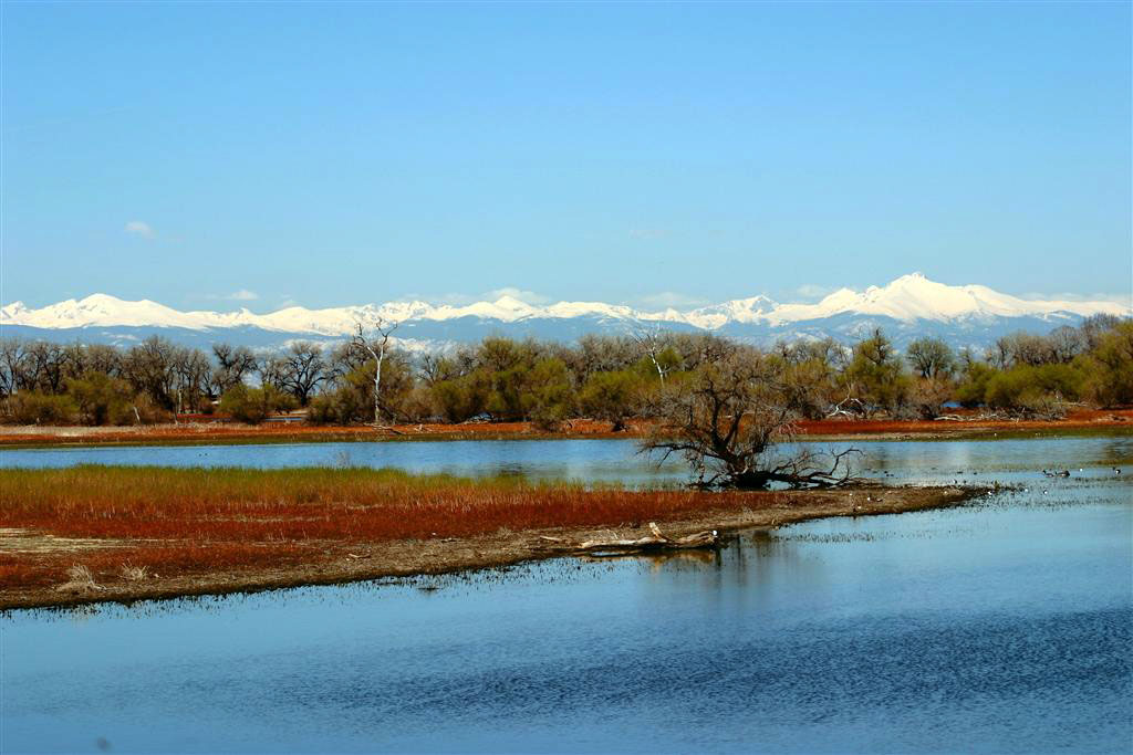 The surface of Barr Lake is blue, reflecting the blue sky and there are trees with green leaves in the background and further back the snow-capped Front Range sits.
