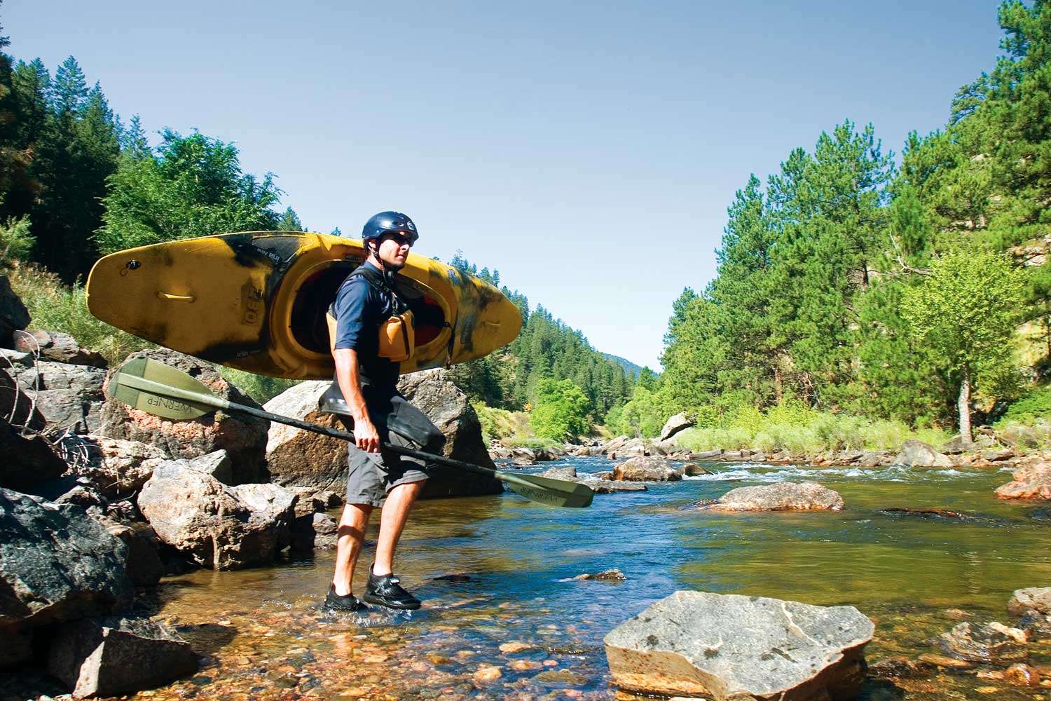 A person walks into the Cache la Poudre River holding a kayak above their shoulder. The river banks have rocks, green grass and evergreen trees.