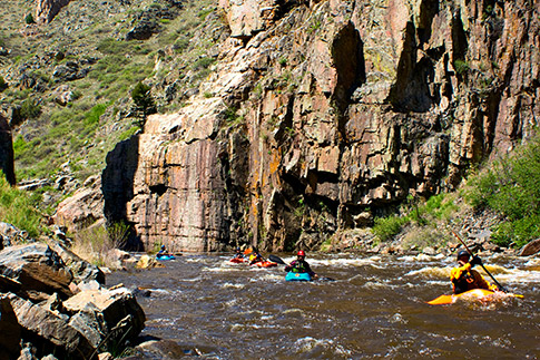 Multiple colorful whitewater kayaks tackle the Cache la Poudre river. In the background, sheer rock walls fall straight into the water with tufts of green grass all around.