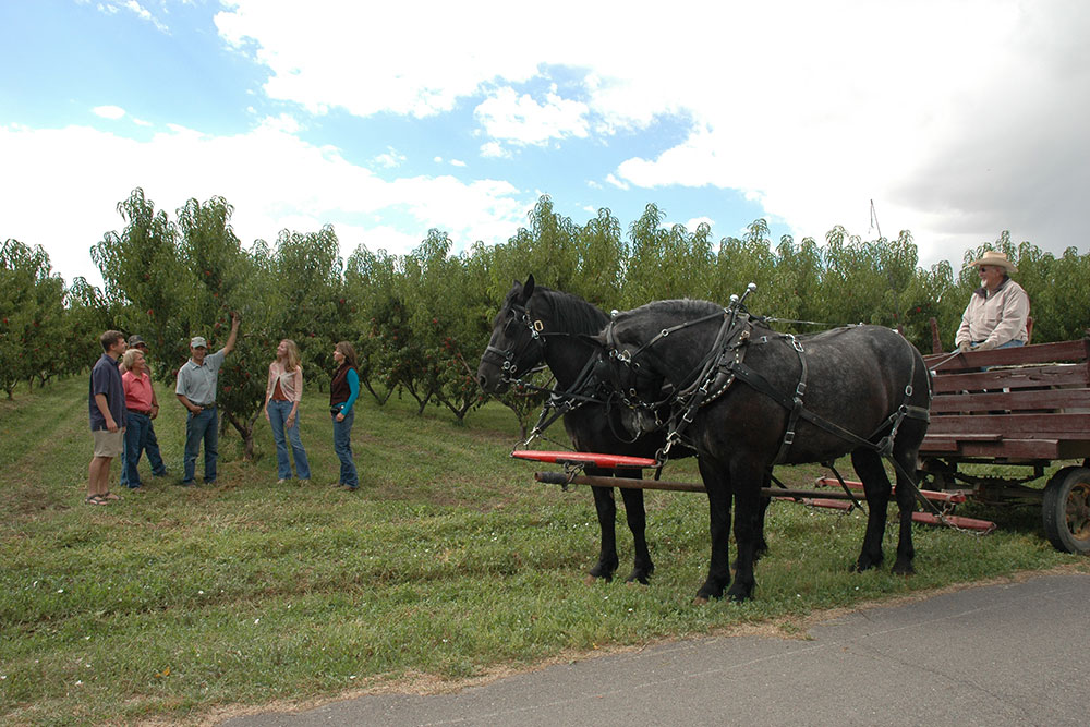 Tour at Clark Family Orchards