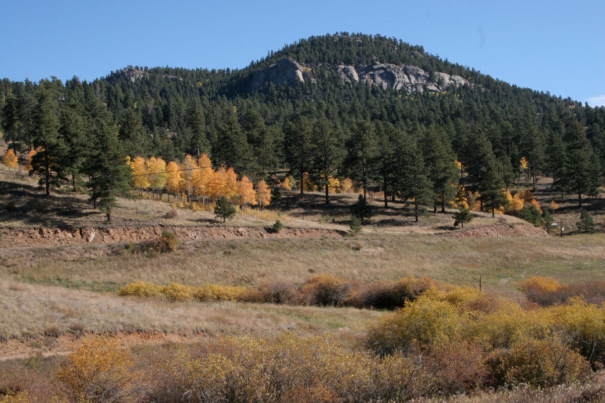 Early fall has begun in a valley near Conifer. There's a blue sky with an evergreen covered mountain in the background. In the valley there's brown grass with the first few trees having their leaves turn golden.