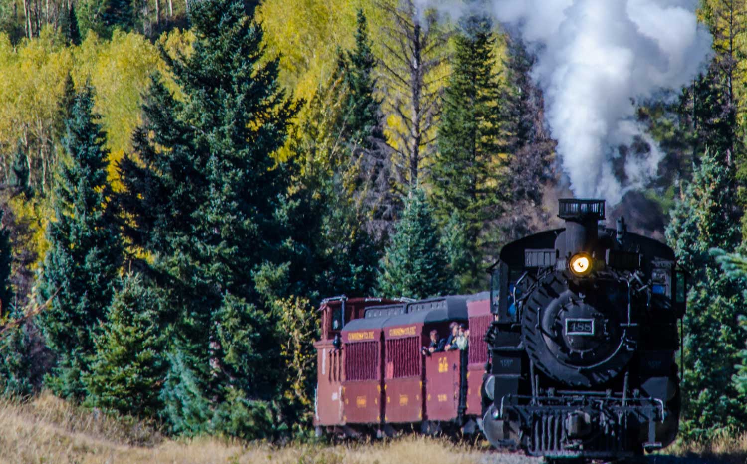 The Cumbres & Toltec Scenic Railroad Train is full steam ahead with a background of evergreens and yellow Aspens.