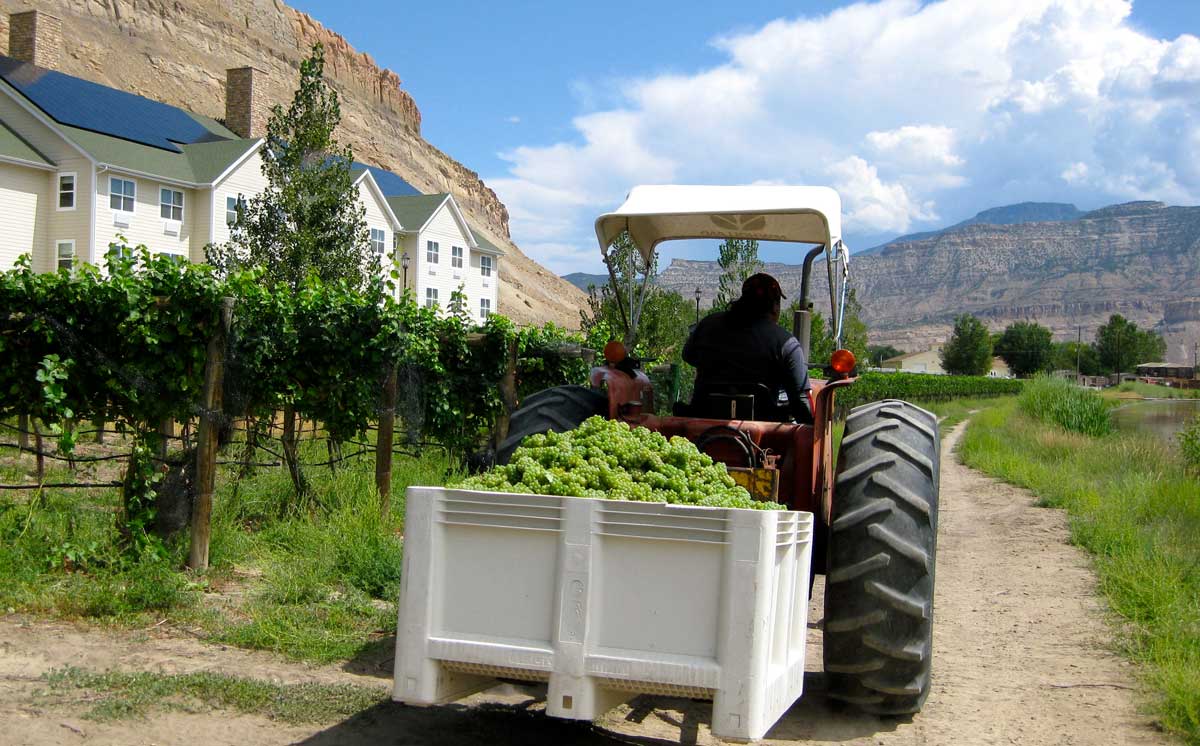 Wine Country Inn in Palisade