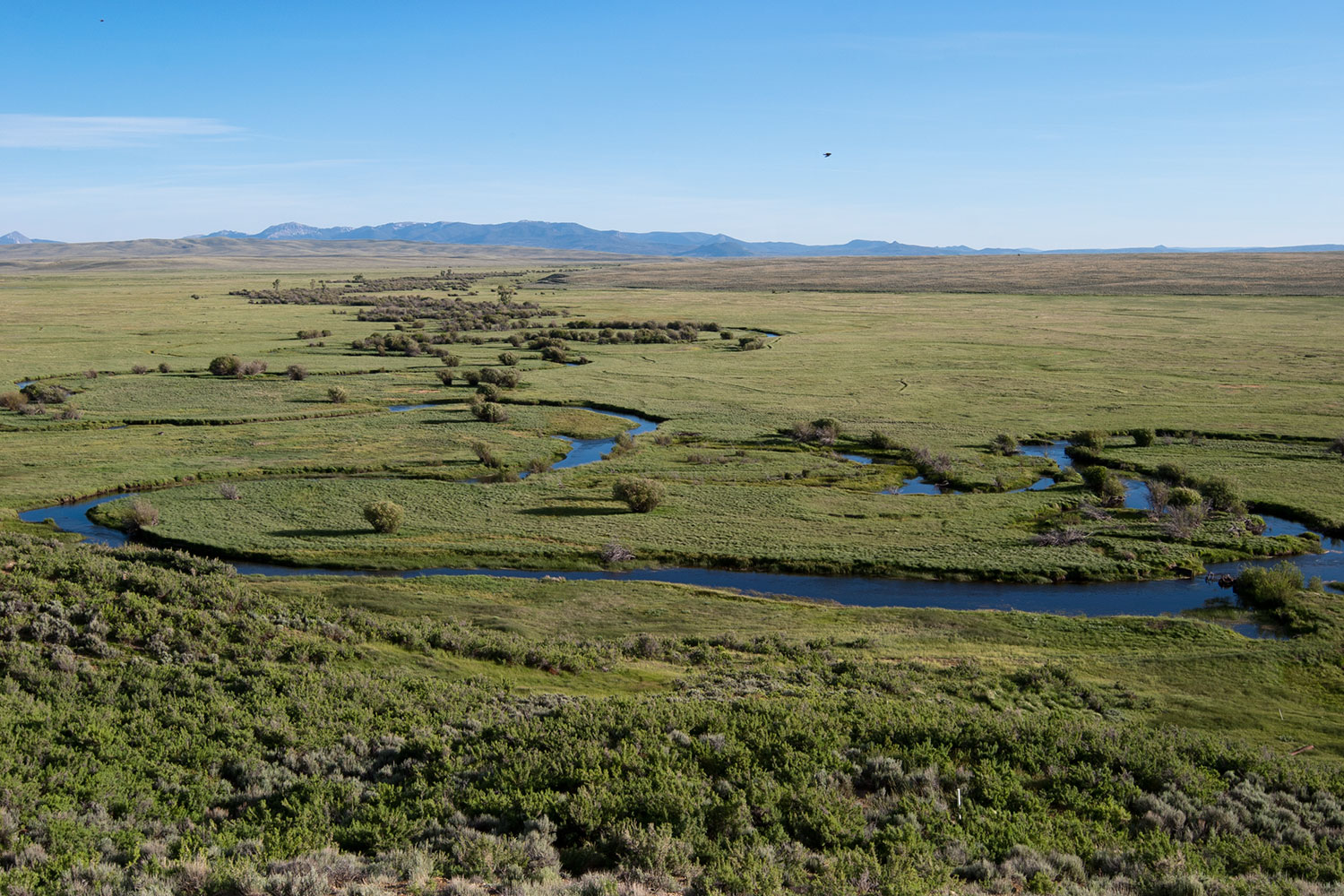 An aerial view of the snaking, blue Illinois River amongst green grasses. In the distance mountains rise up to meet a blue, hazy sky.