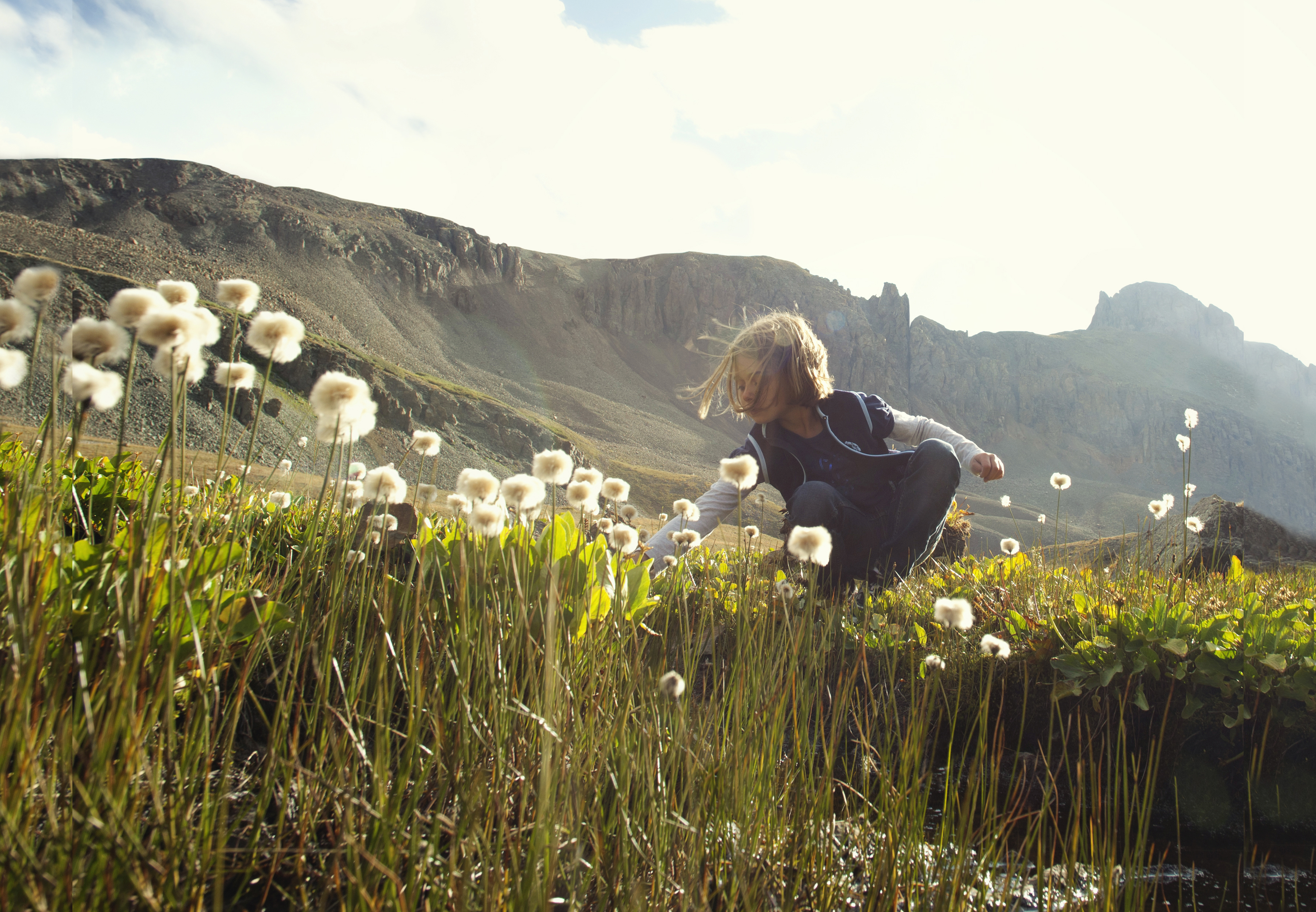 A child sits in a grassy field surrounded by tall, tree-less rock walls in Colorado. The field is filled with plants that have large, white, cotton ball-like flowers.