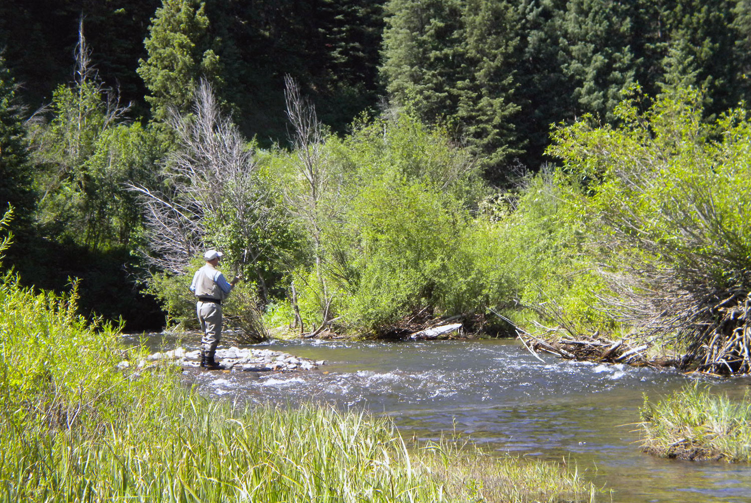 A man fishes in the middle of a river with greenery surrounding him.