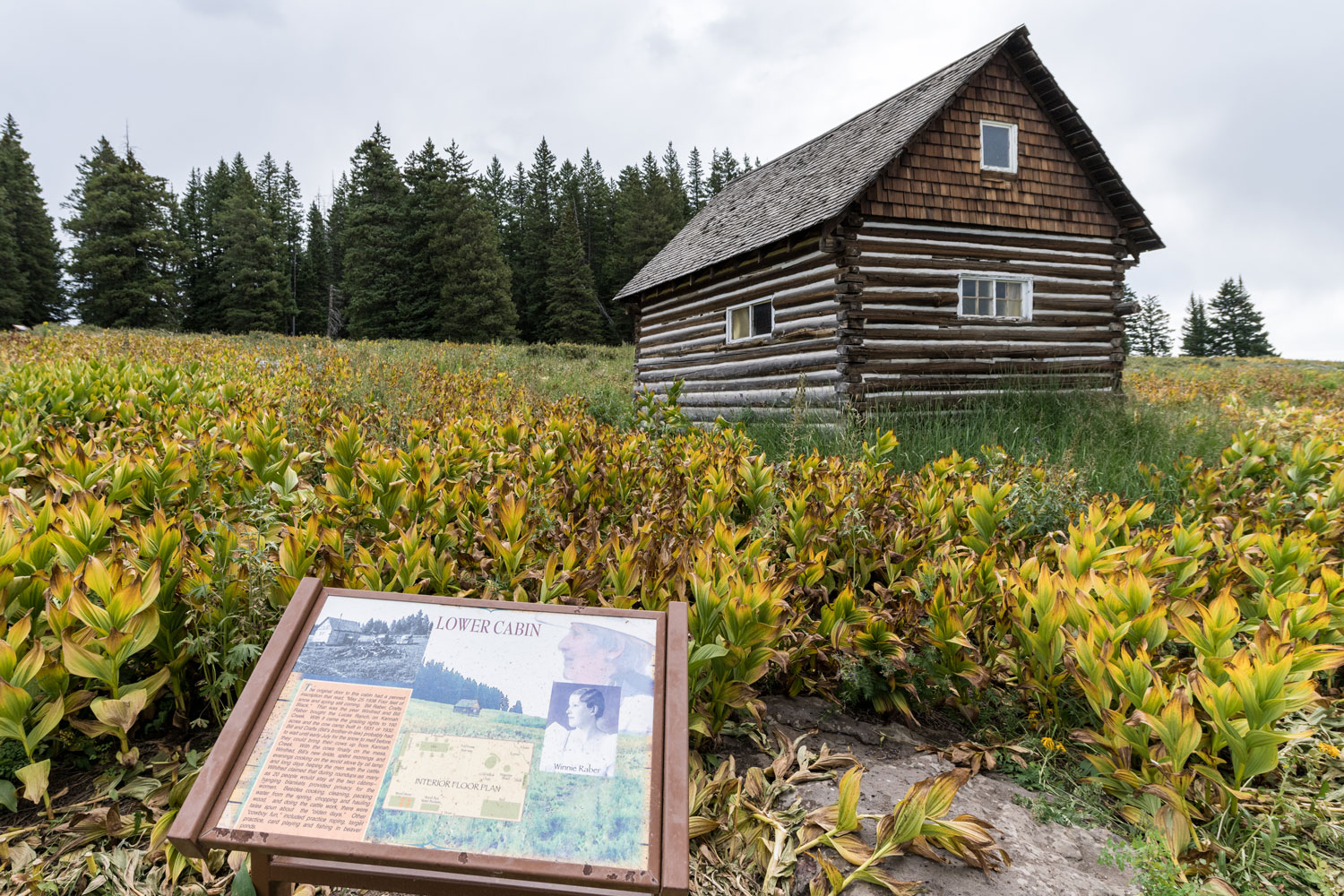 Raber Cow Camp outside Mesa