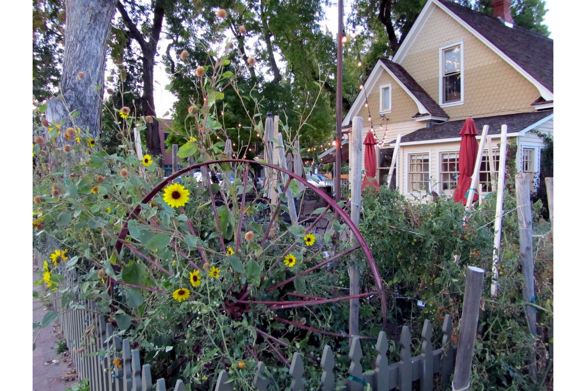 A Victorian house turned restaurant sits in the background with a patio full of verdant plants with small yellow sunflowers.