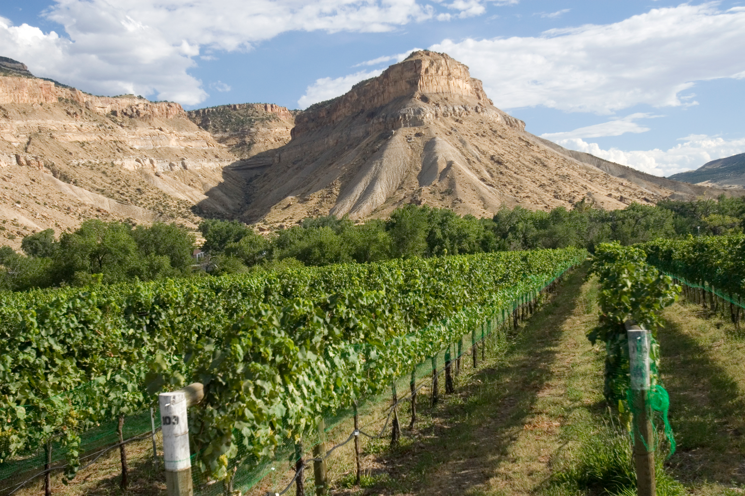 Grand Mesa | Colorado.com
