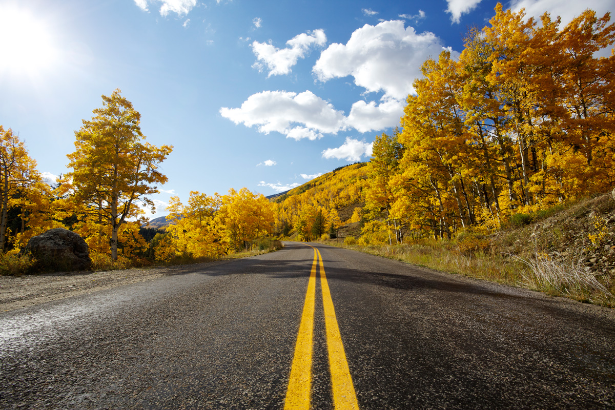 A two-lane highway on the Peak to Peak Scenic Byway near Boulder, Colorado, is lined with dozens of golden-leafed trees.