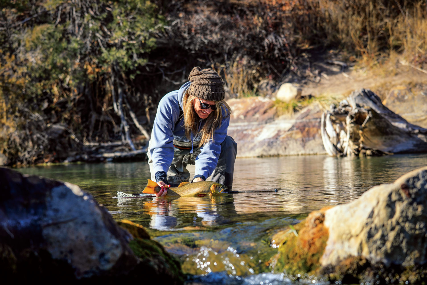 An angler holds a yellow-brown fish with two hands, by the tail and its underbelly, and gentle returns the fish to its home in the Colorado waters.