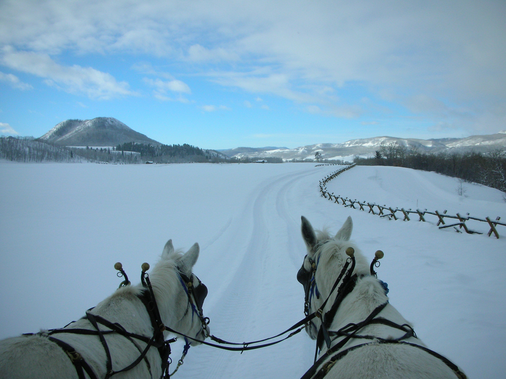 From the rider's point of view, two horses are pulling a sleigh across a snow-covered path. To the right, a fence separates a snow-covered field from trees. In the background mountain peaks are covered with snow under a light blue sky.