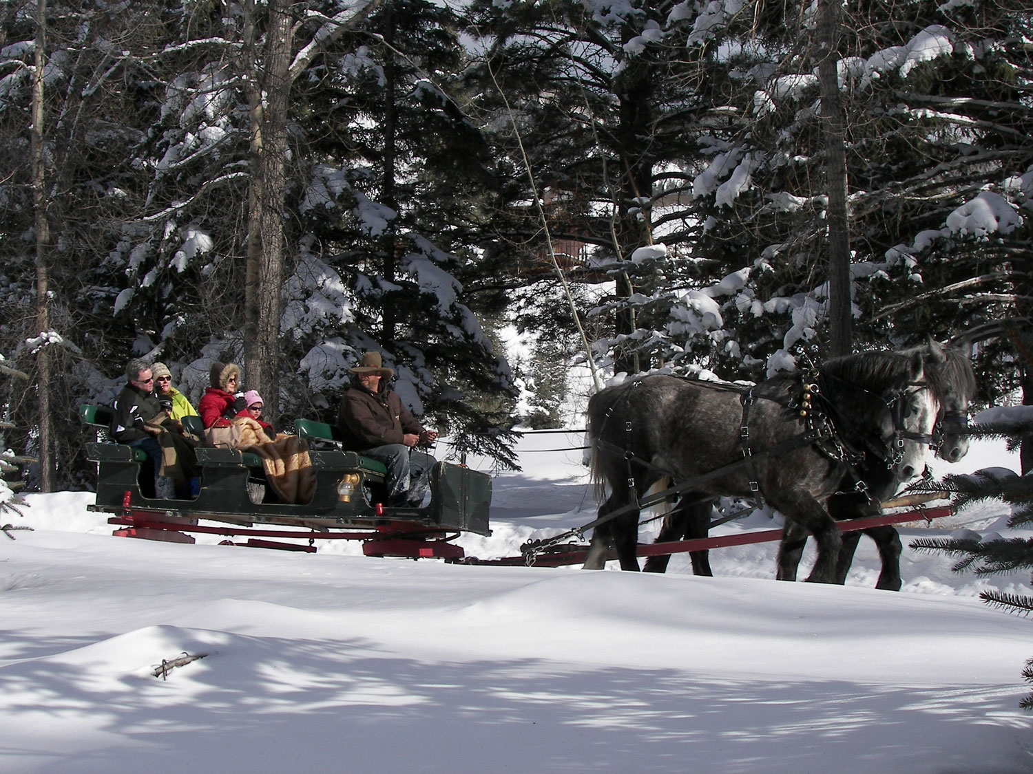 A carriage takes riders through the snowy woods