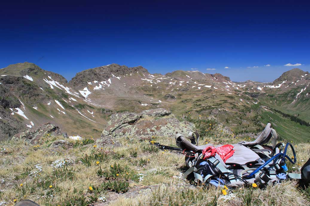 A backpacking backpack sits on the ground among alpine flora with a craggy mountain background
